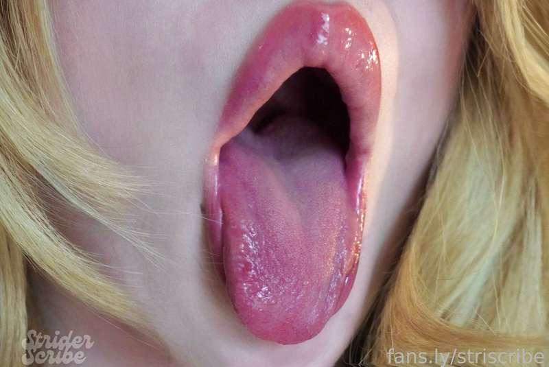 striscribe image #29