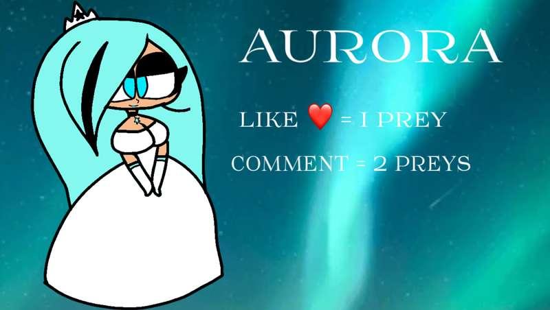 Aurora ⭐️