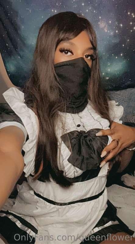 queenflower image #1