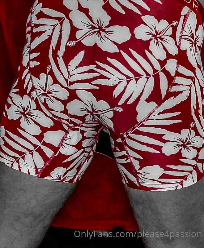 Happy Wagon Wednesday Everyone!