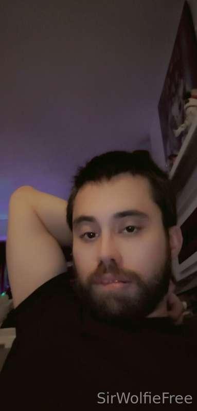 sirwolfiefree image #4