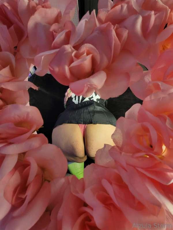 💖💖💖