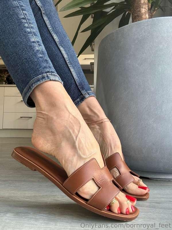 Smell my feet and suck my toes