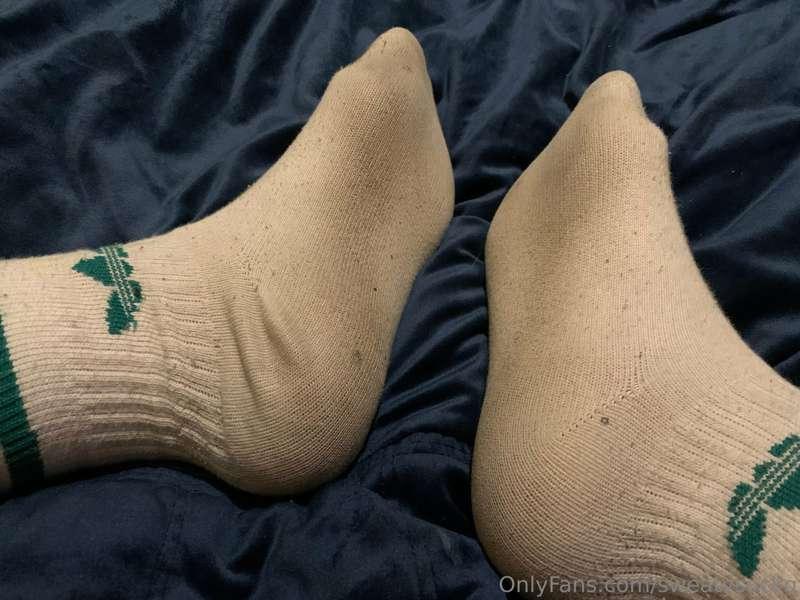 sweatysockq image #3
