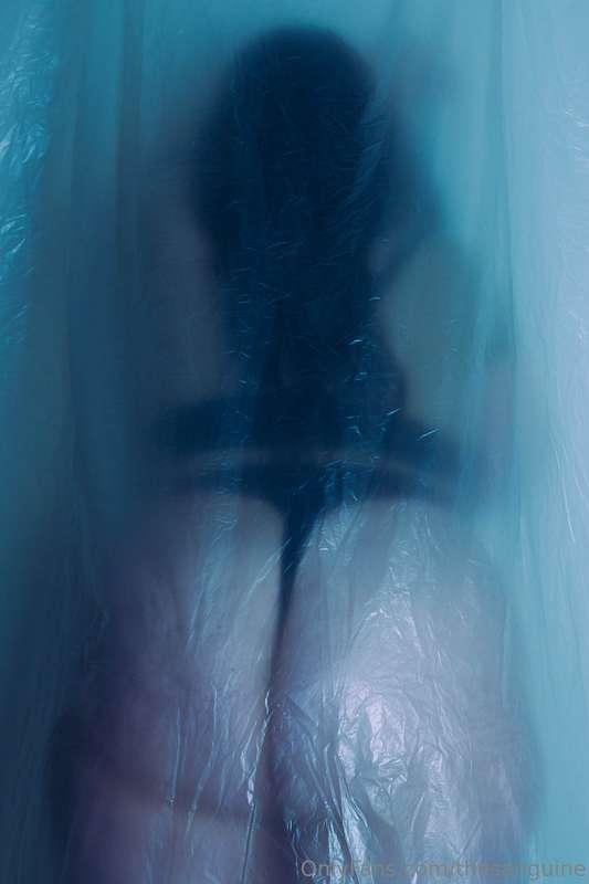 thesanguine image #0