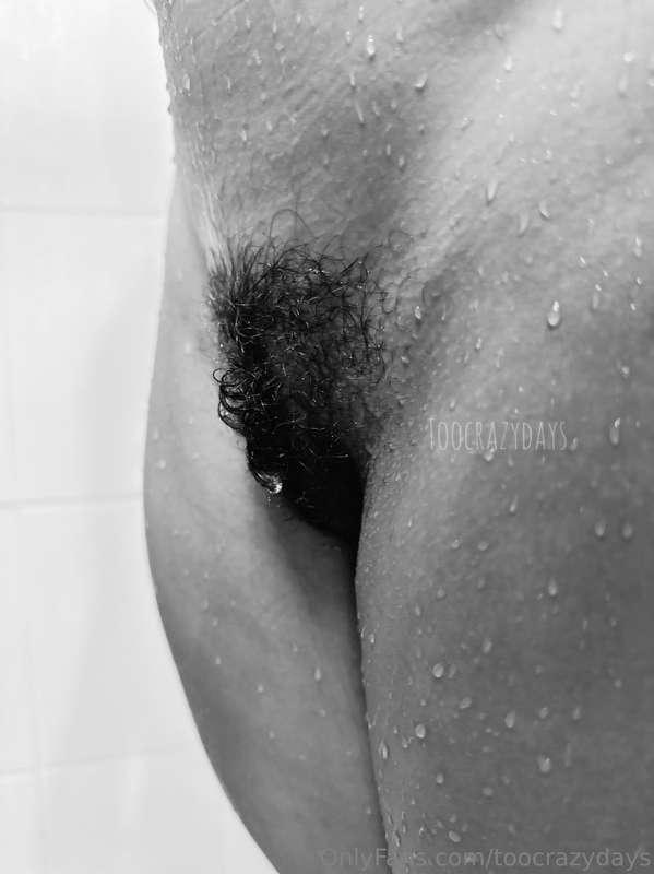 toocrazydays image #0