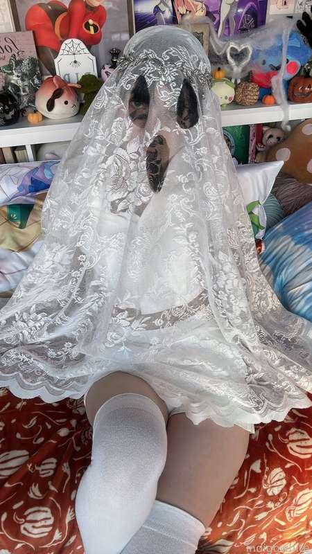 indigowhite image #180