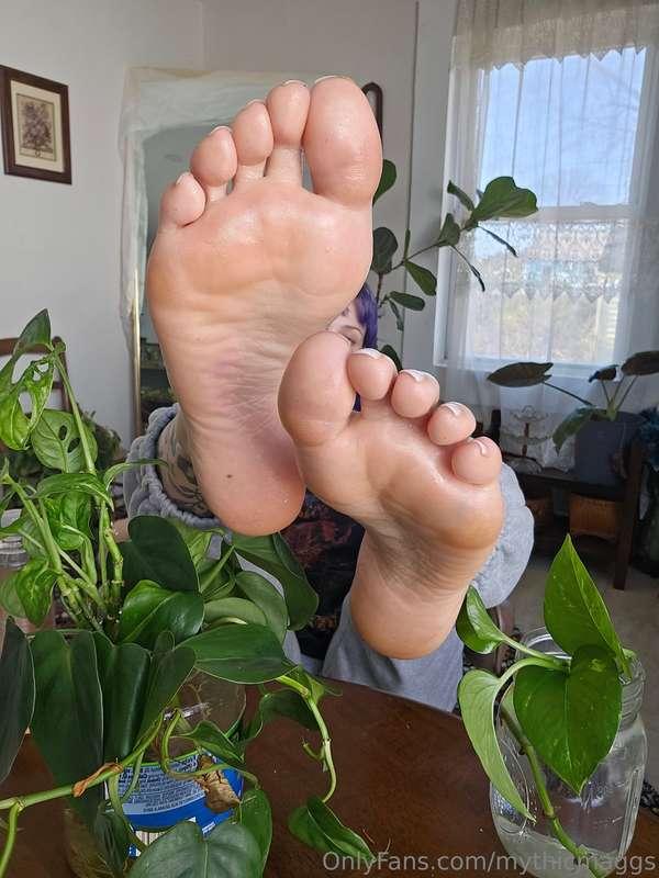 Oil is great for keeping them nice and slippery 😉