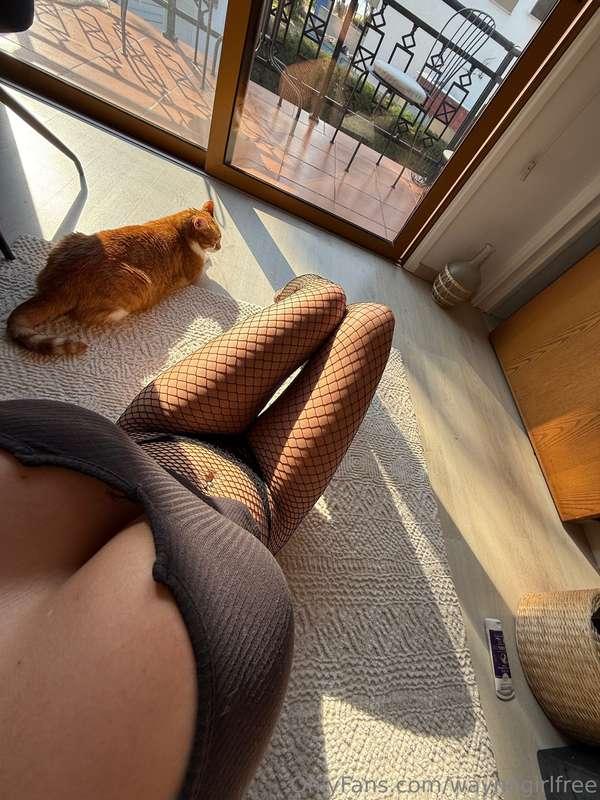 ‼️50% OFF ‼️ https://onlyfans.com/waynegirl