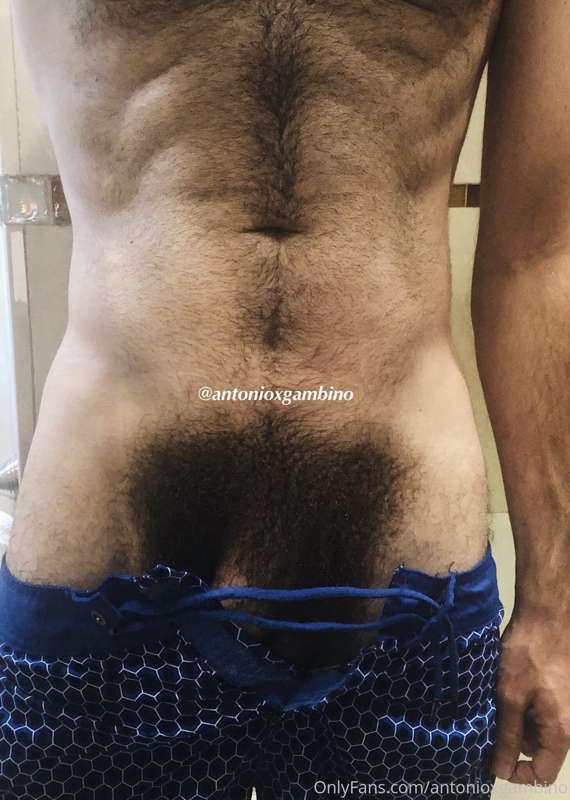 One of my twitter followers messaged me and said “your bush ..