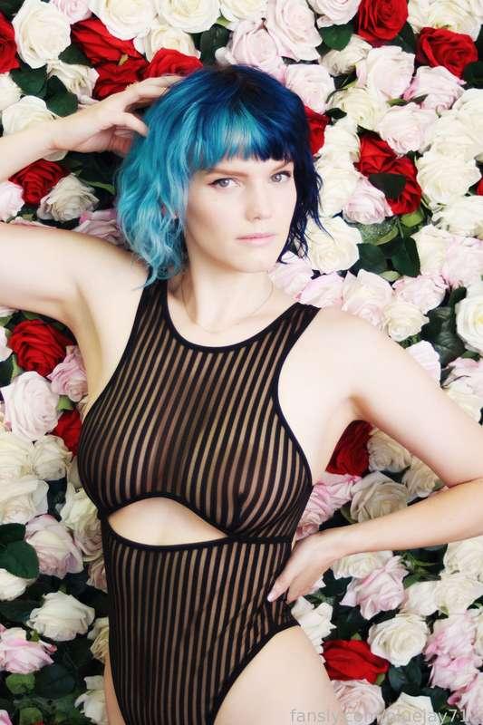 bluejay712 image #1