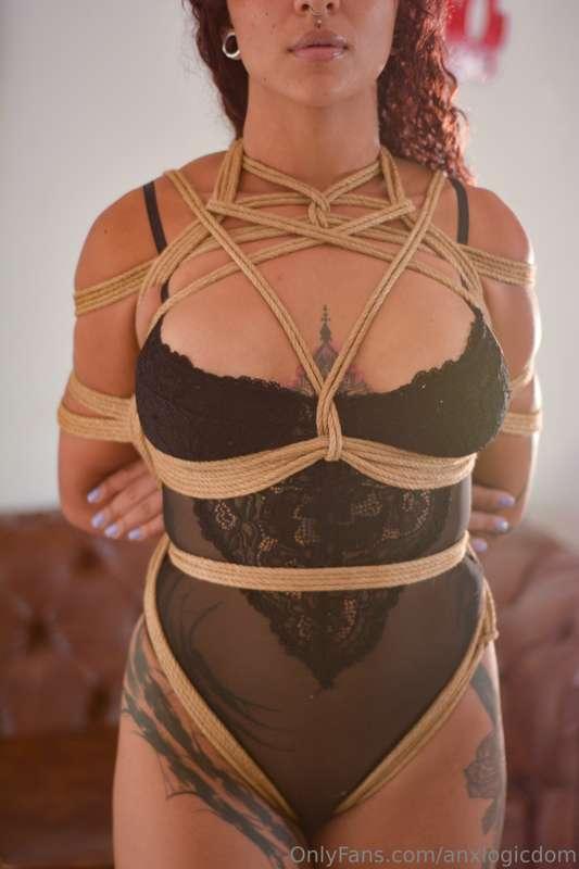 anxlogicdom image #4