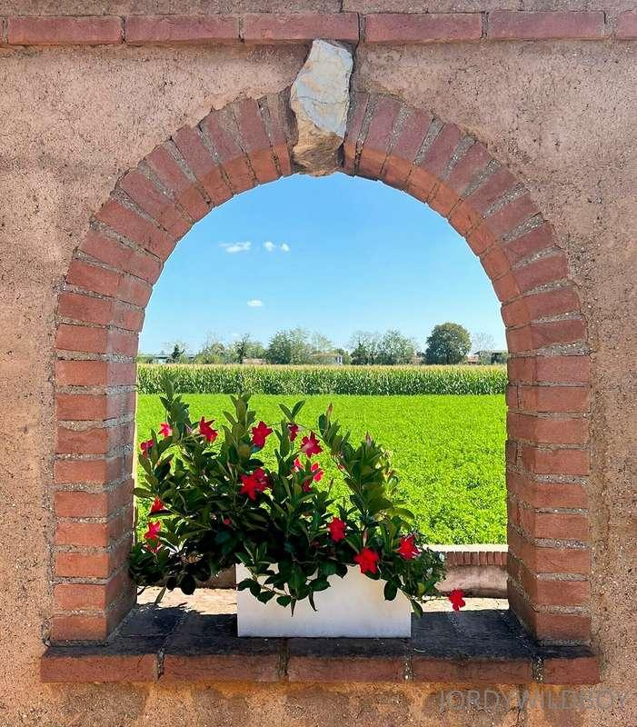 🔥BEST SUNDAY's INSPIRATION X JORDY🔥 🤠 ***Old Wilde Est Favou..