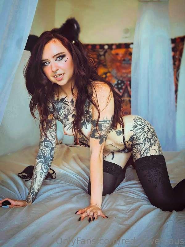 Don't make any sudden movements....I'm ready to pounce 😈