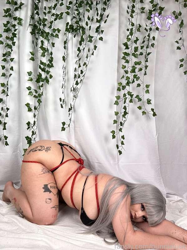 bunnisluut image #76