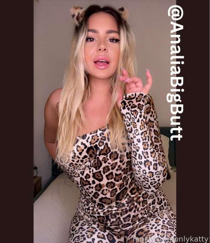 onlykatty image #0