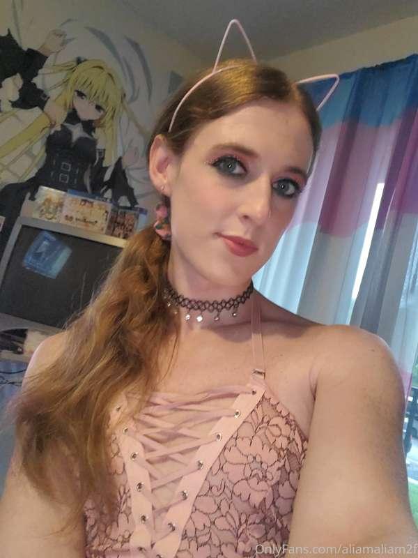 Kitty Feeding Time October 2021