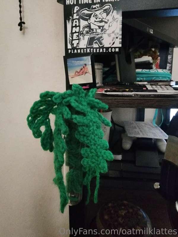 oatmilklattes image #2