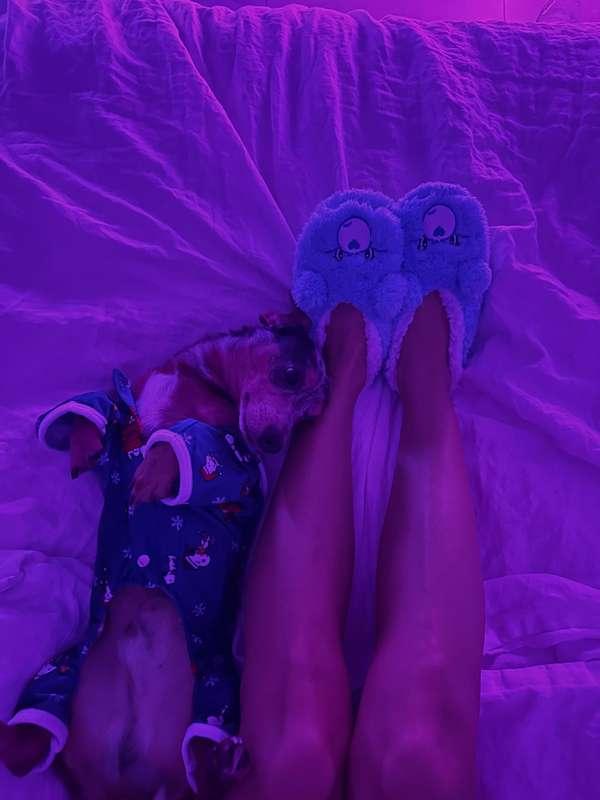 POV: you waking up next to us 🌞