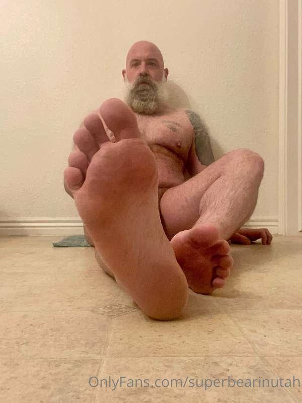 superbearinutah image #0