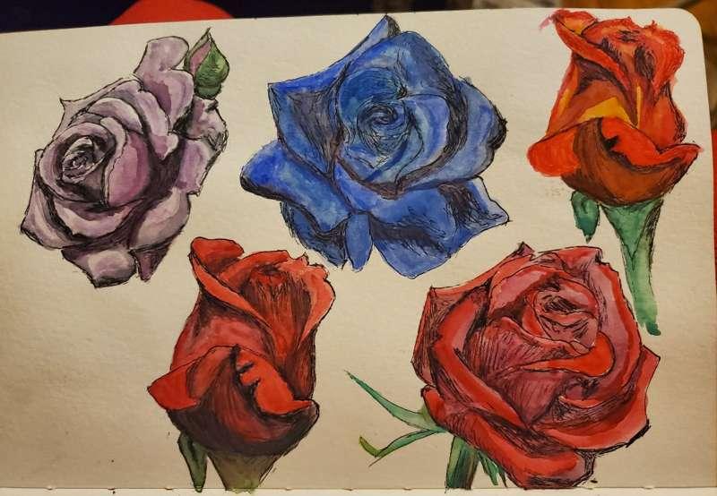 Roses