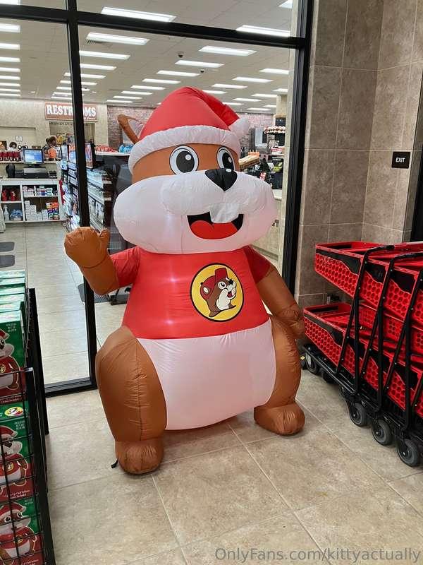 Beaver shot!(I am not sorry)