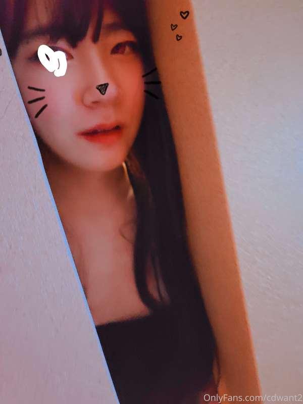 cdwant2 image #3