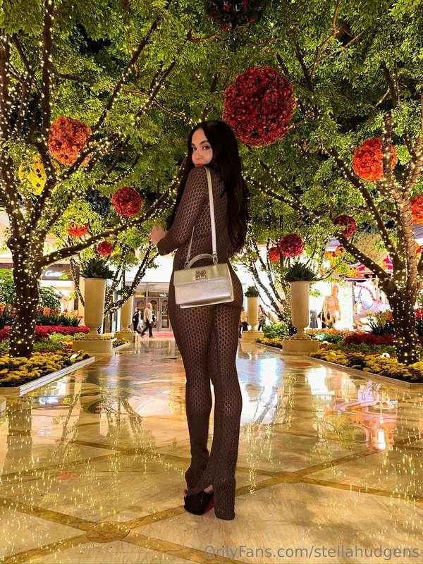 stellahudgens image #1