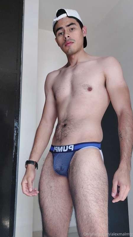 alexmalmtz image #0