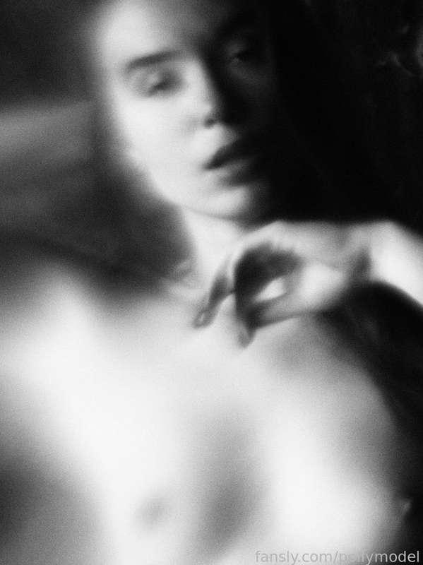 pollymodel image #2