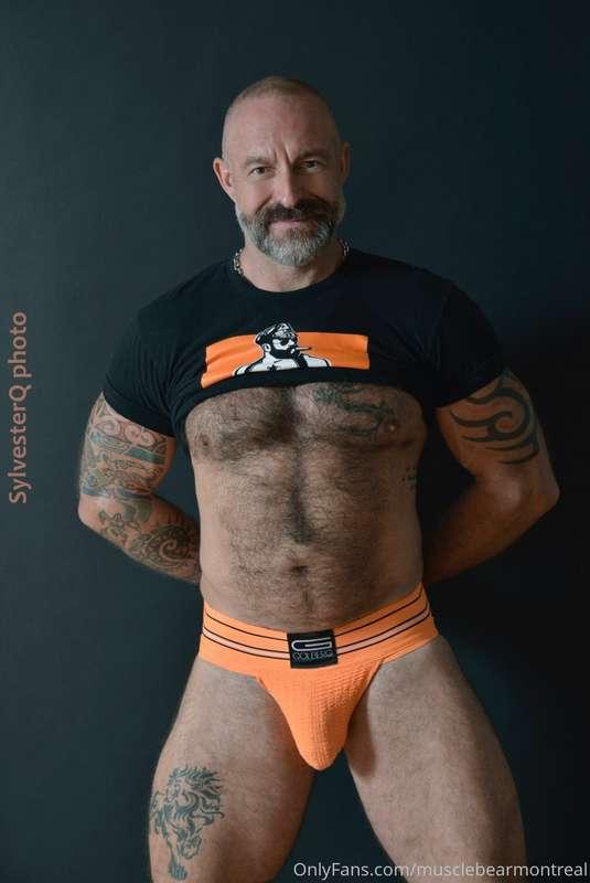 Photographer: Howard Sylvester (Sylvester Q photo)