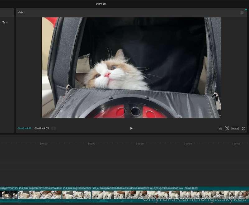 Name Video : Diary Dearley EP.1 (ฺNo 18+)Next Video Post Cli..