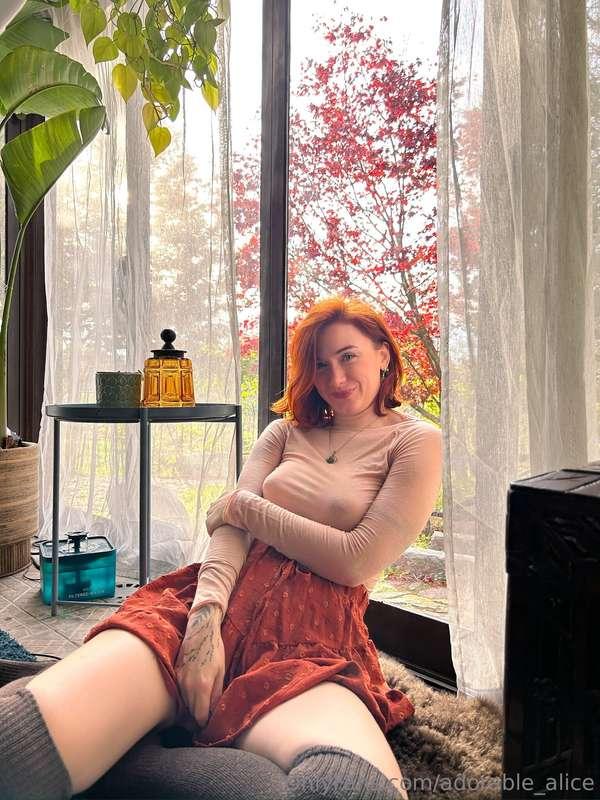 adorable_alice image #1