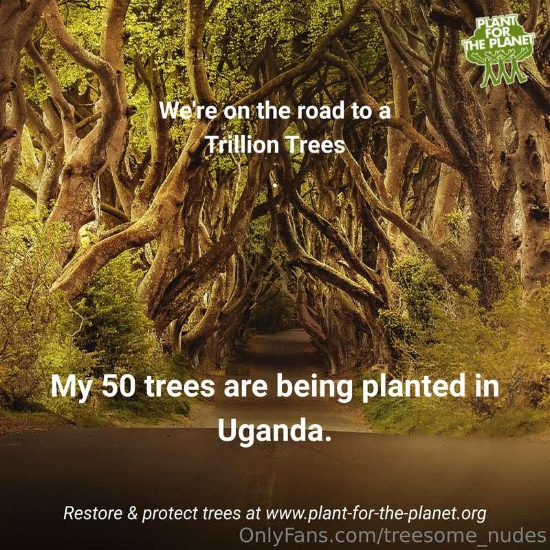 Thanks to you, last year we managed to plant more than 100 t..