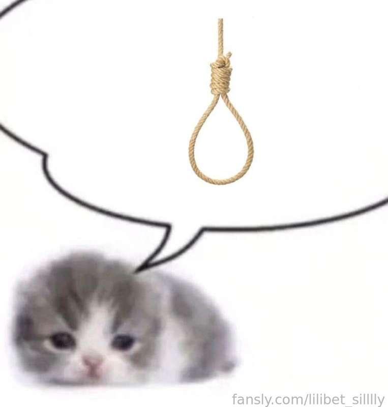 lilibet_silllly image #0