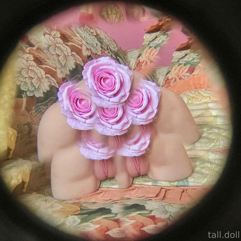 here’s some of my photography! i’m calling this series “rose..