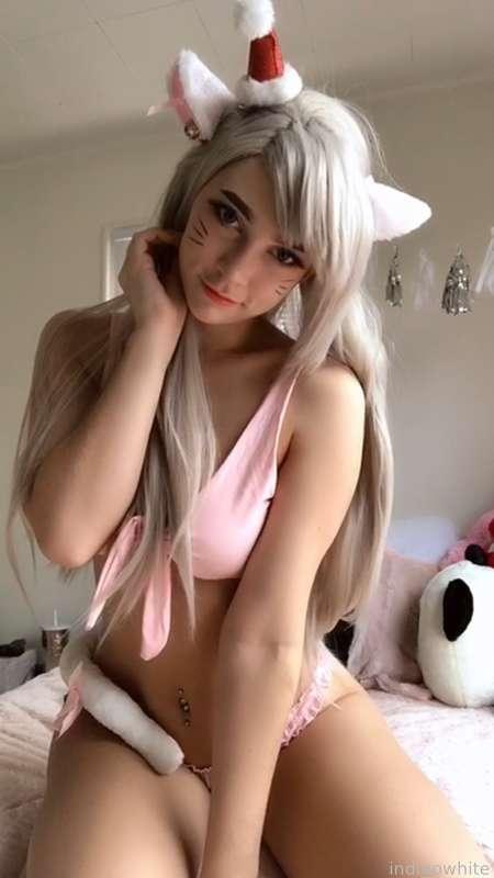 indigowhite image #73