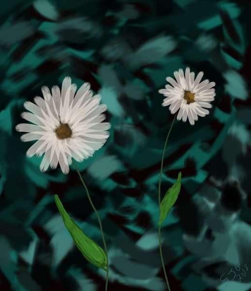 Digital art of mine - Daisies