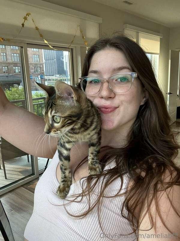 😽