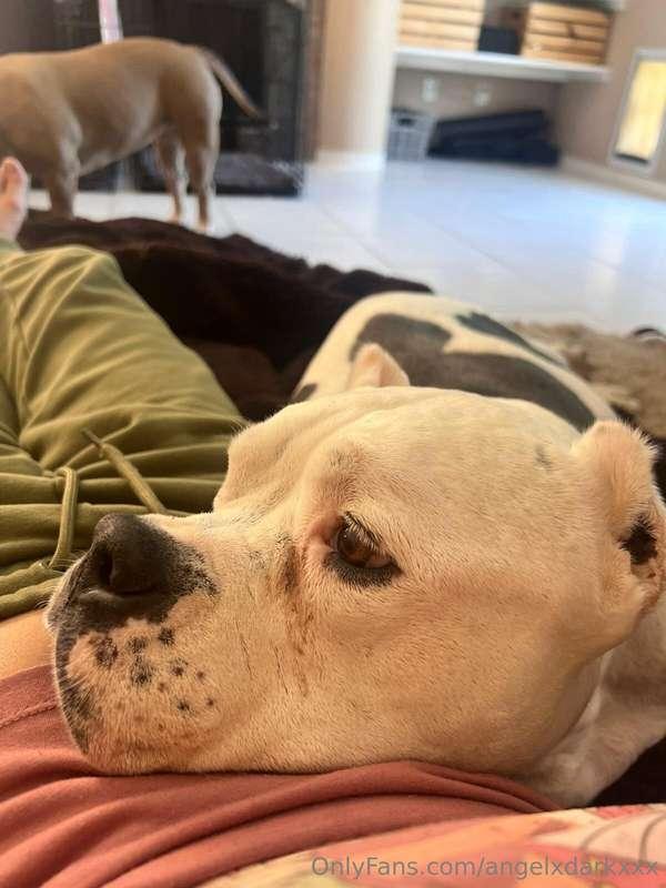 How I've been spending my days since I got back! 😍😍😍😍