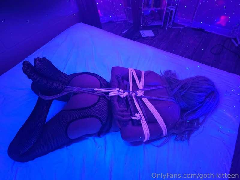 goth-kitteen image #0