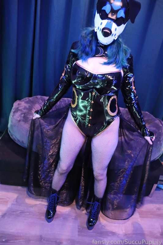 succupuplily image #16