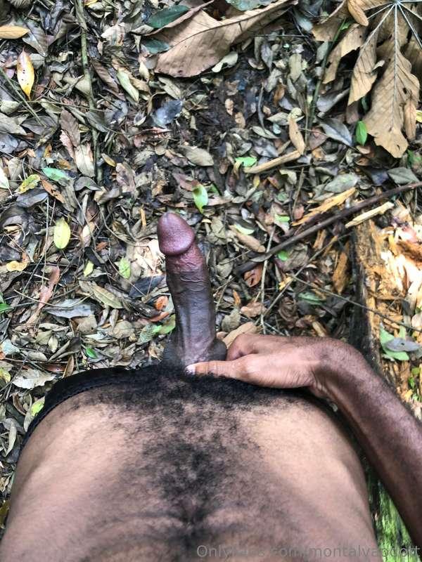 montalvaodott image #12