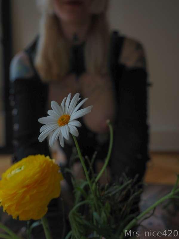 mrs_nice image #7