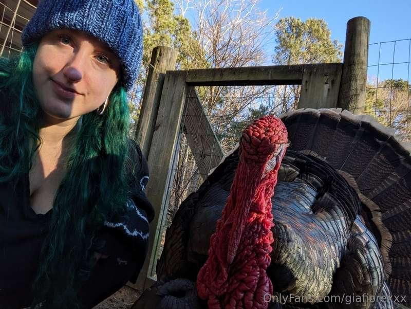 one more of my friend the turkey :D