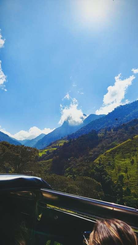 Day 2 with my sweetheart @nico.mucci at Cocora Valley and Sa..