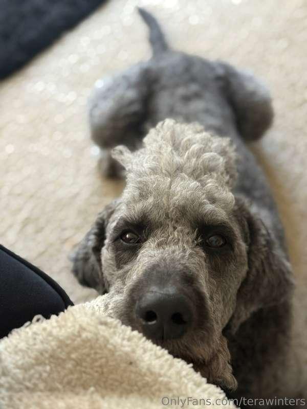 My son 🥹 he’s getting his haircut tomorrow 