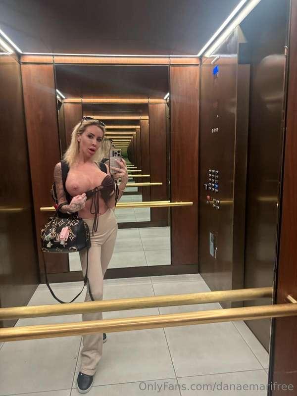 danaemarifree main image