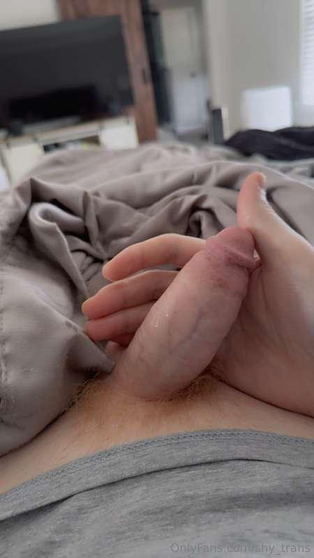 shy_trans image #1
