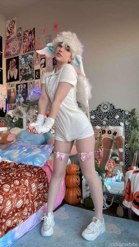 indigowhite image #211